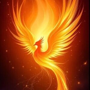 Meet your Posher, Phoenix